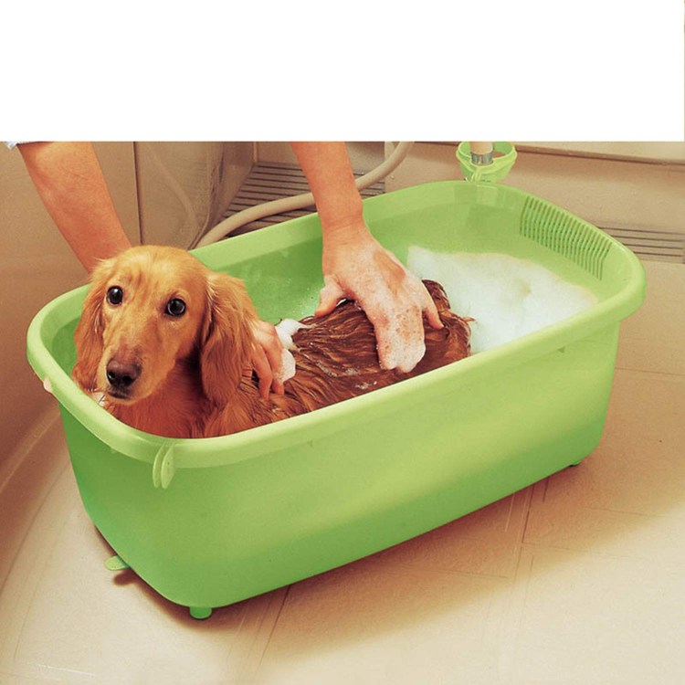 Купание домашних животных