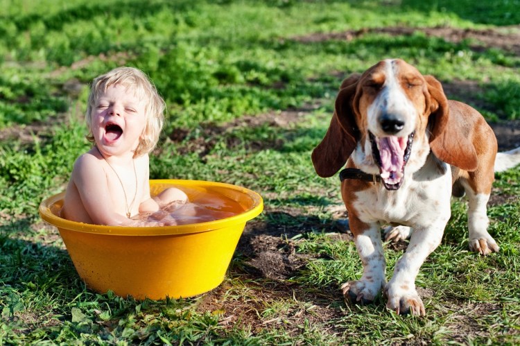 На даче в тазике с собакой