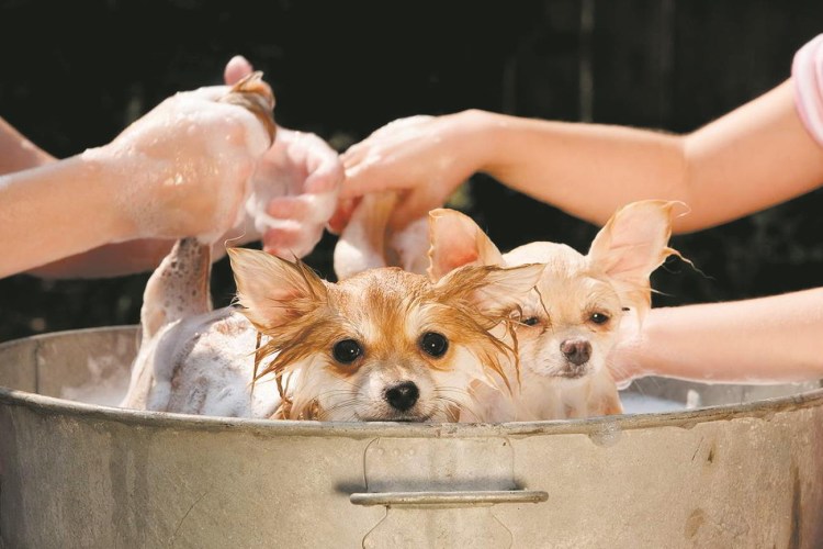 Прикольные дети