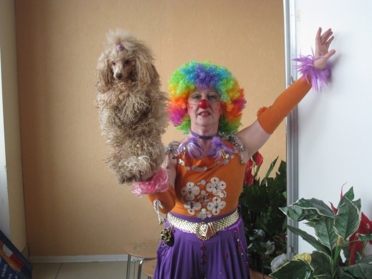 Николай Павленко Шпицы цирк