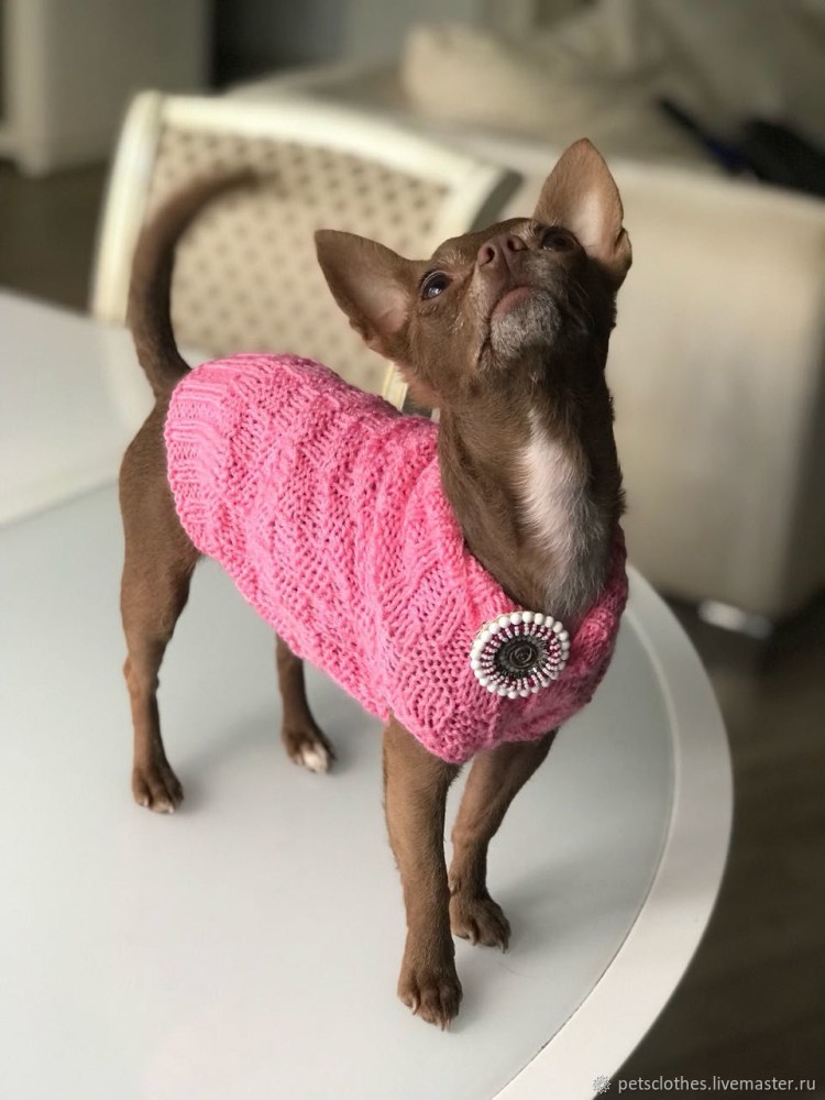 Свитер для собак