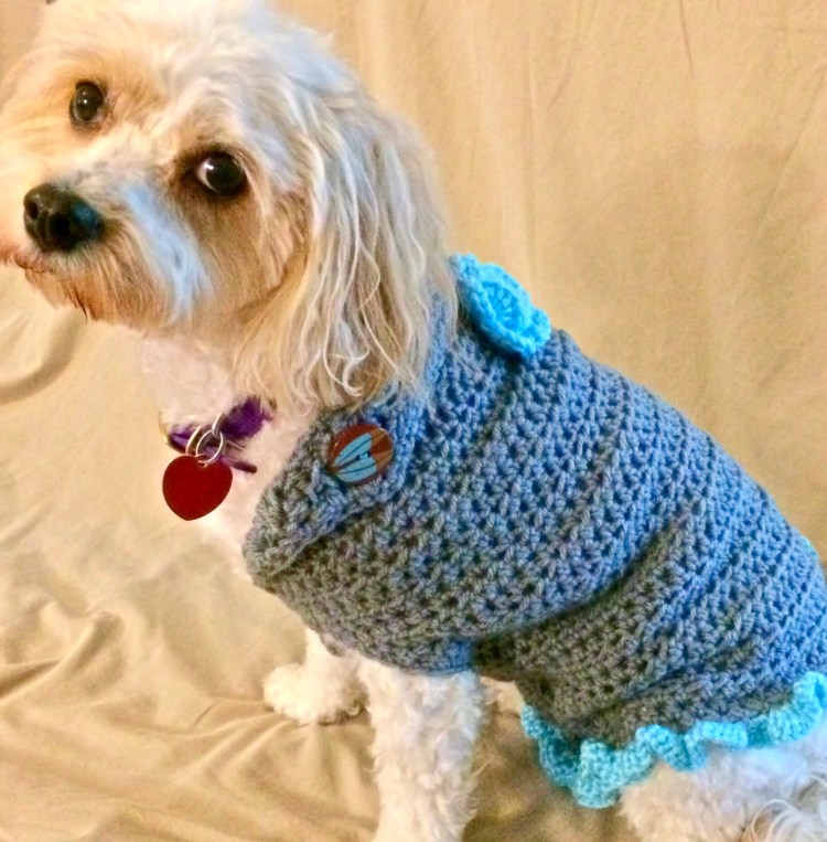 Вязаная одежда для собак