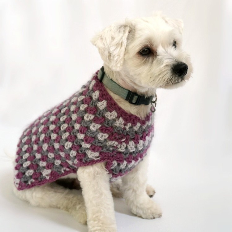 Свитер для собаки крючком