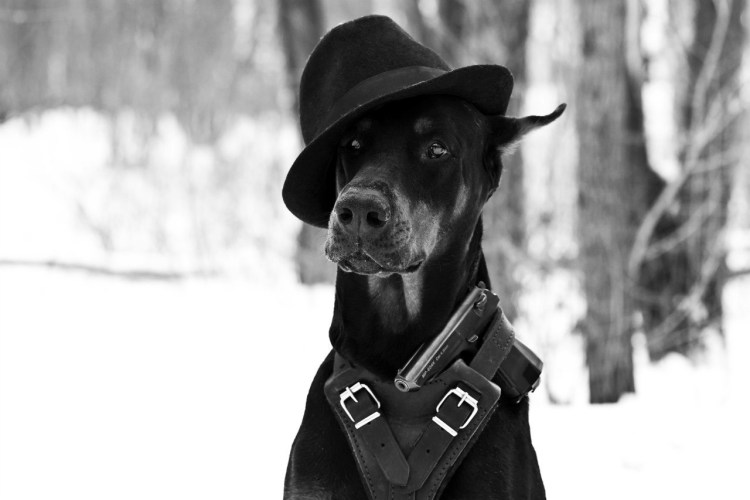 Рамиль с собакой