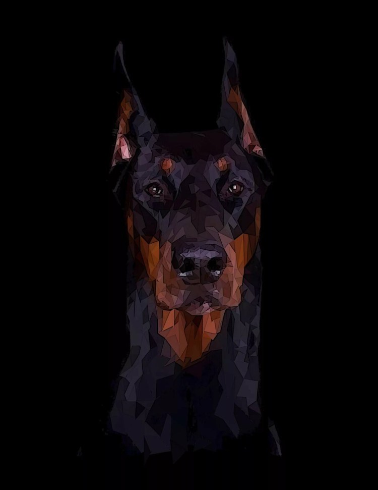 Серый Доберман