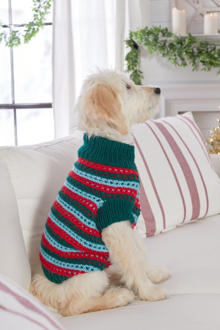 Вязаная одежда для собак