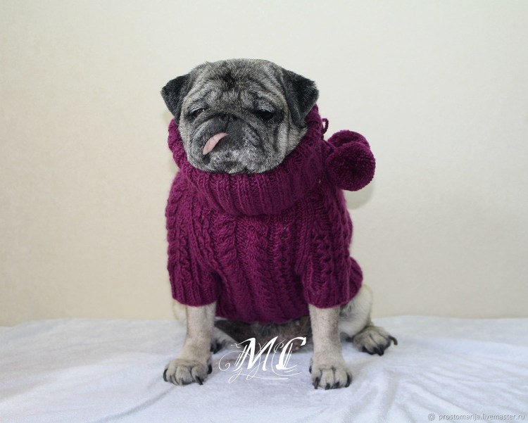 Жилет для собаки крючком