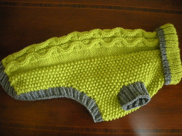 Вязаная одежда для собак