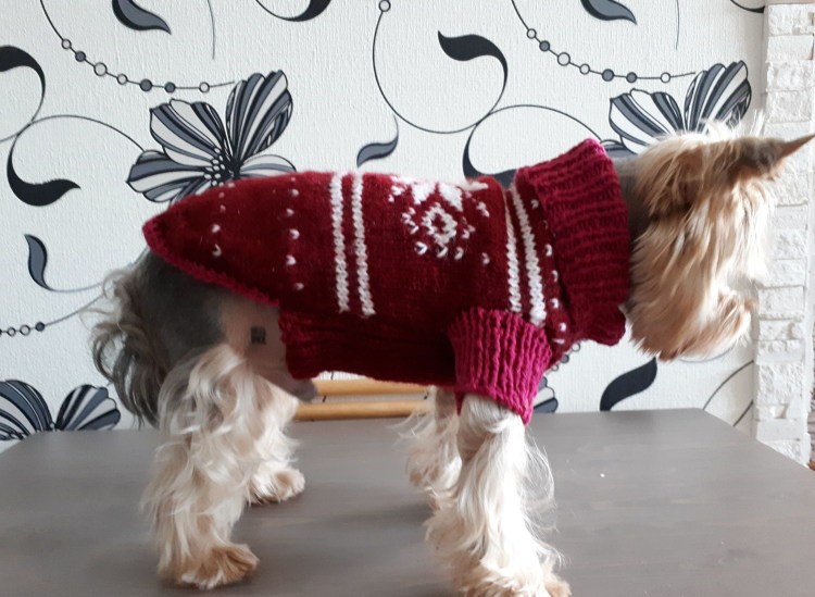 Вязаные пальто для собак