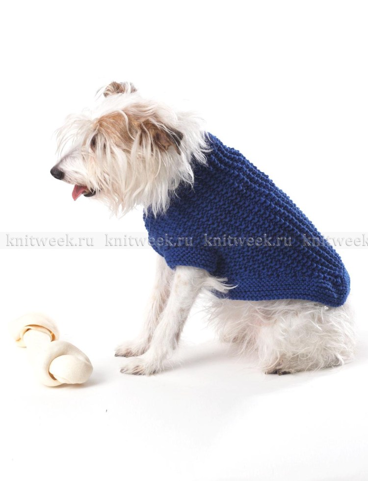 Вязаная свитер для МОПСА