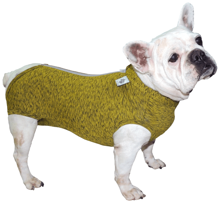 Намордник Ганнибала лектора для собак