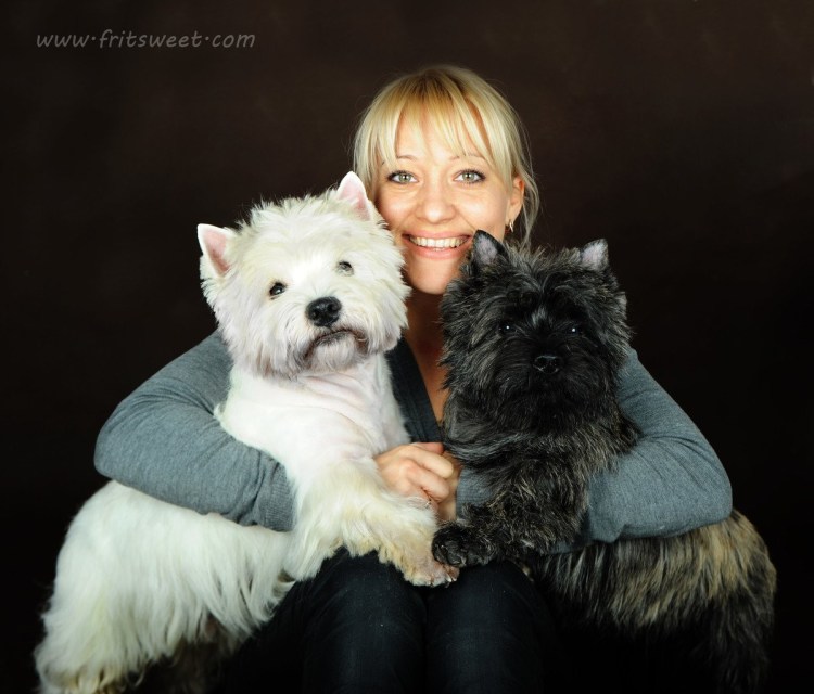 Керн терьер белый