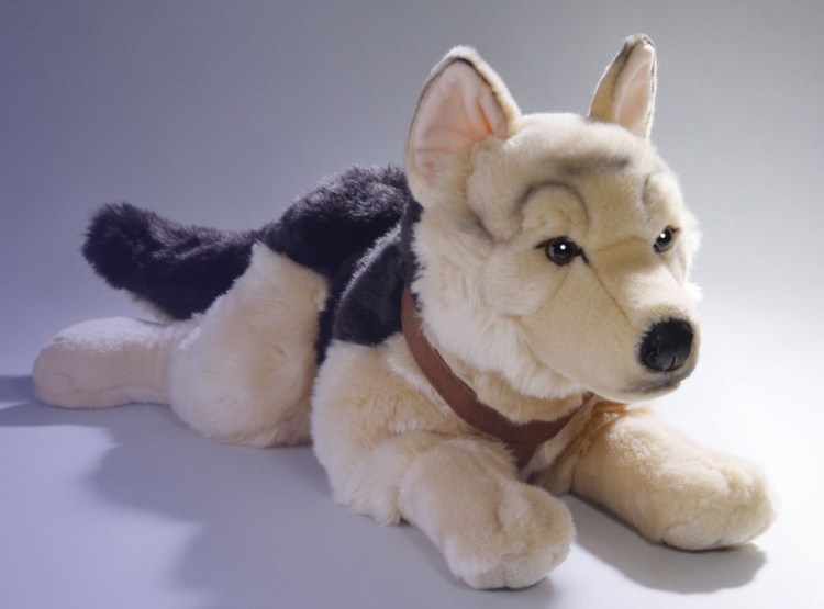 Бельгийская овчарка малинуа серая