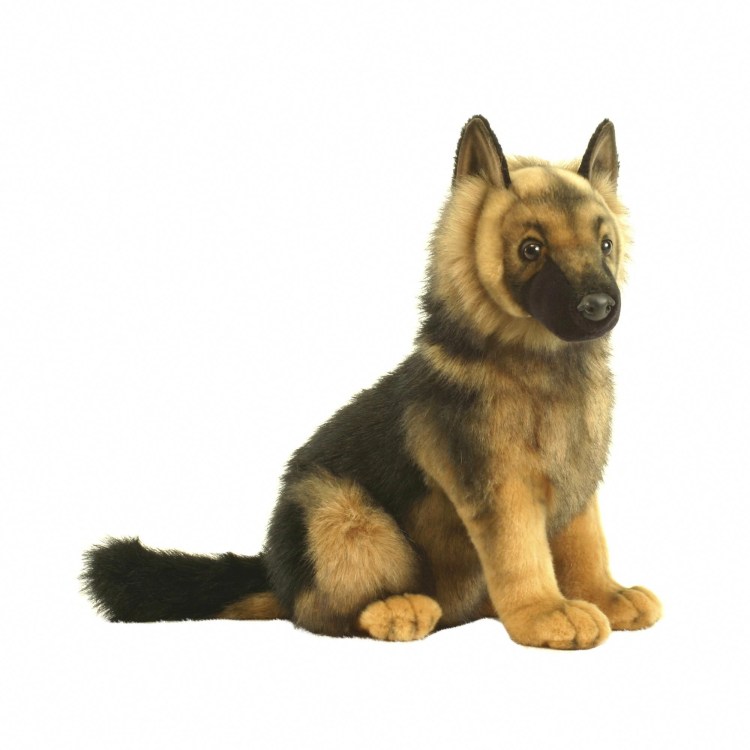 Perfect Petzzz овчарка