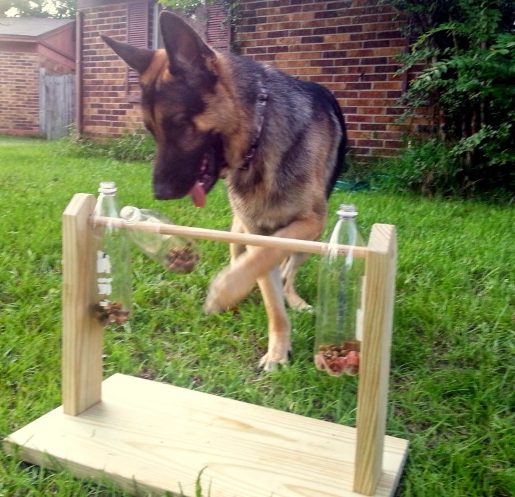 Leosco ротвейлер