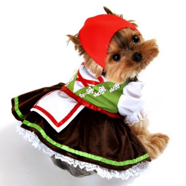 Новогодний костюм для собаки