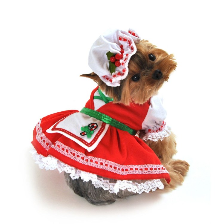 Карнавальные костюмы для собак