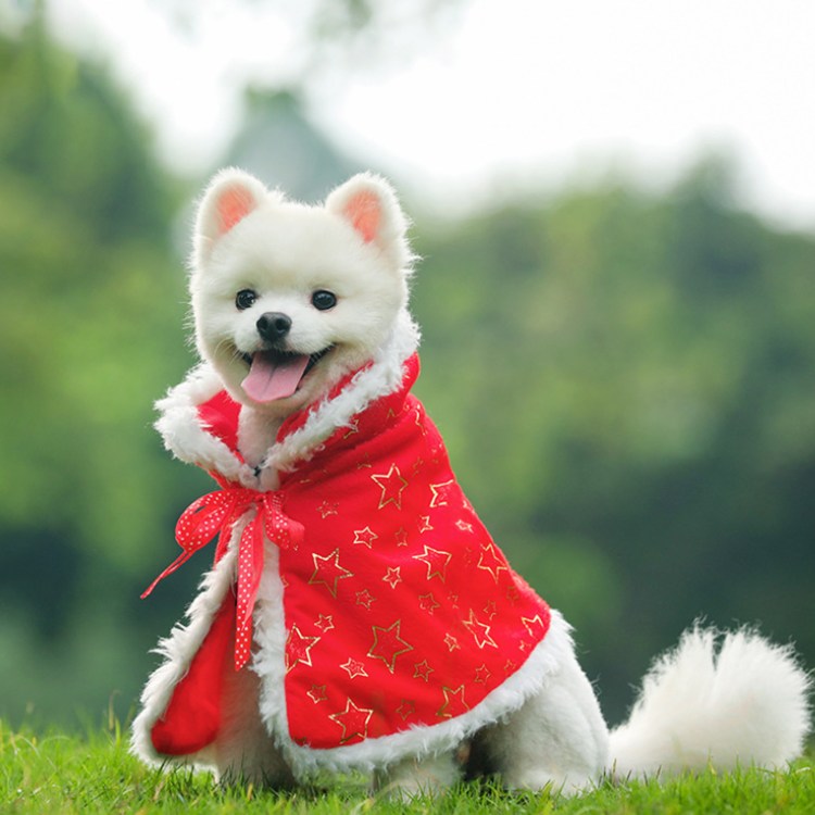 Рождественский костюм для собаки