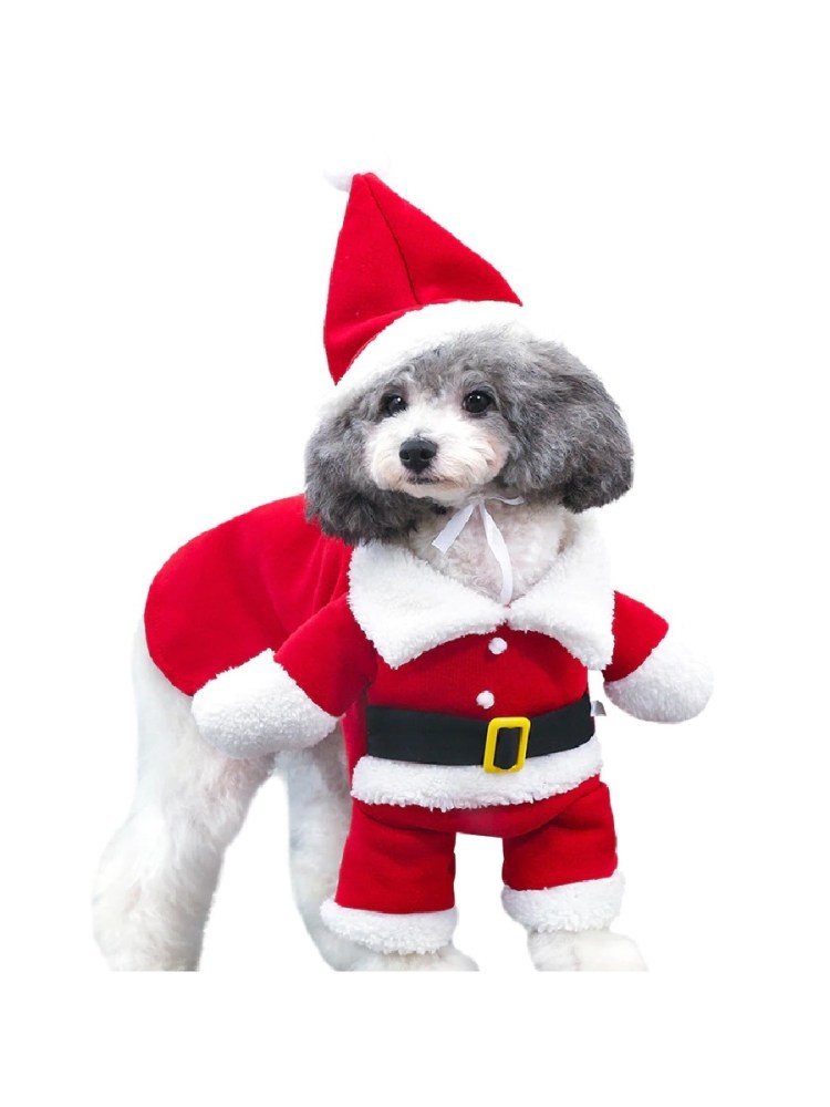 Костюм Санта Клауса для собаки