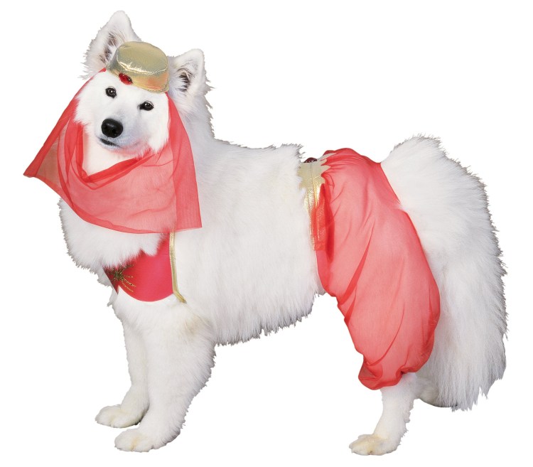 Новогодние животные