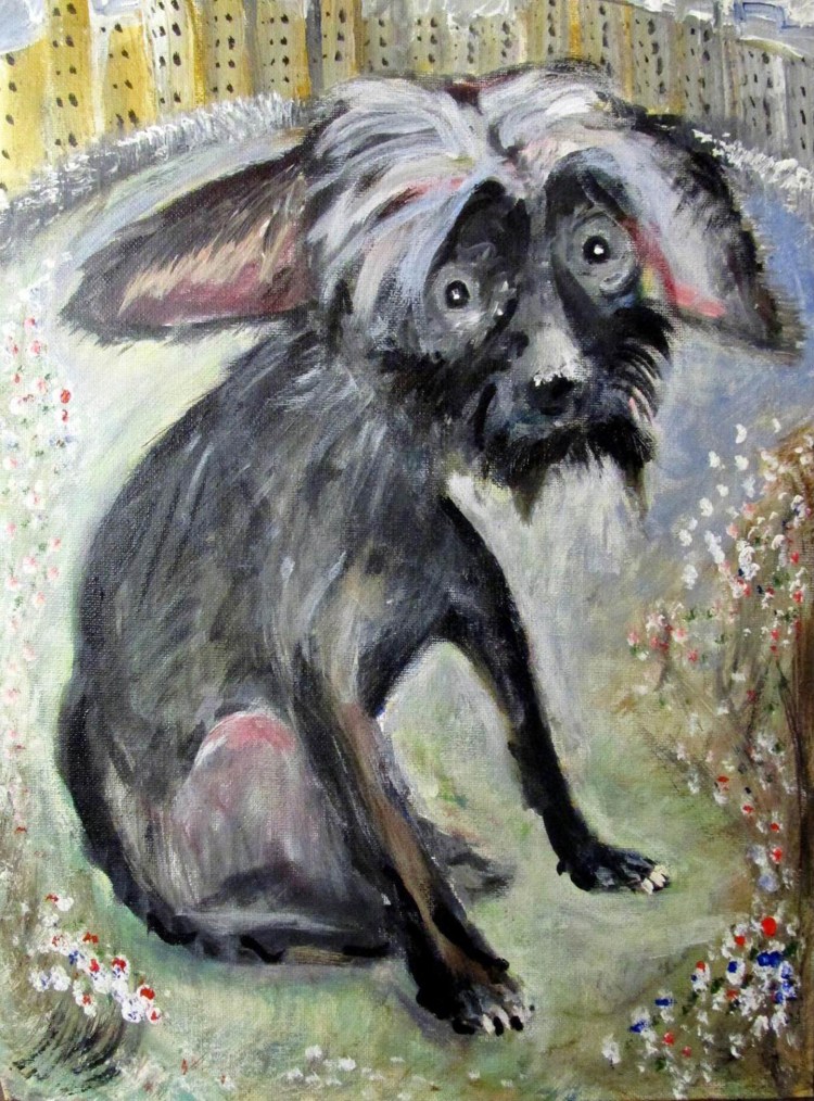 Китайская хохлатая Сэм