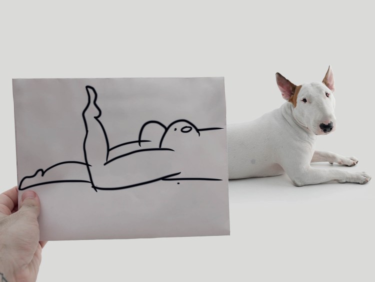 Бультерьер Джимми Чу