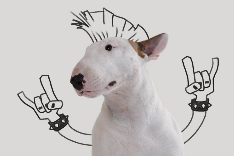 Собака похожая на свинью порода