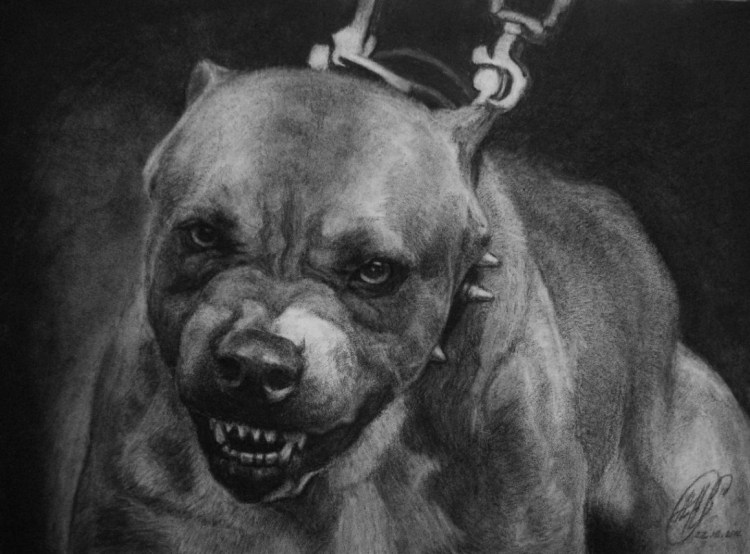 Стаффордширский терьер загрыз