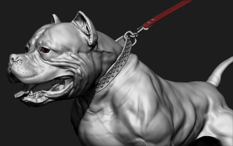 Питбуль черный бриллиант