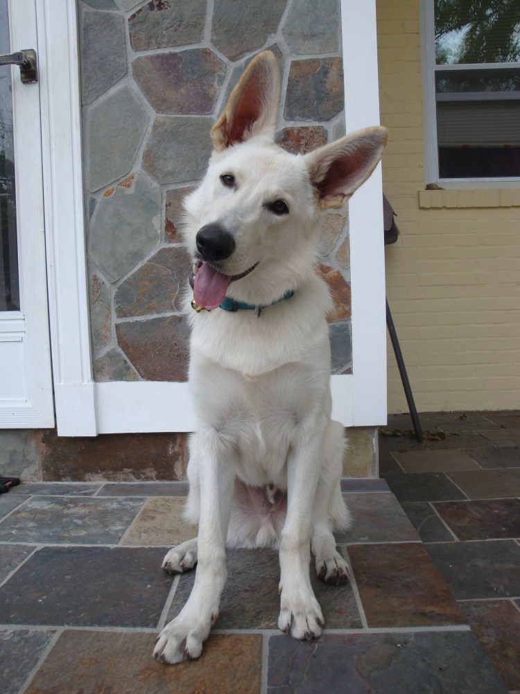 БШО В кровати