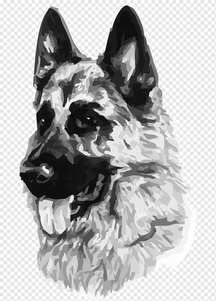 Морда собаки рисунок сбоку