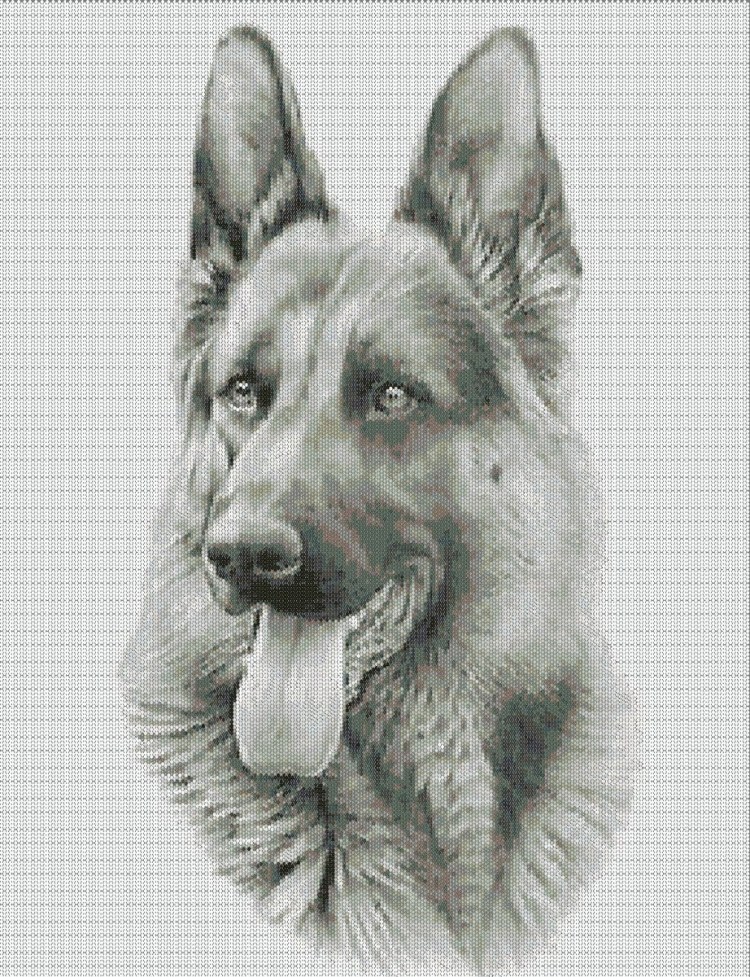 Немецкая овчарка арт для срисовки