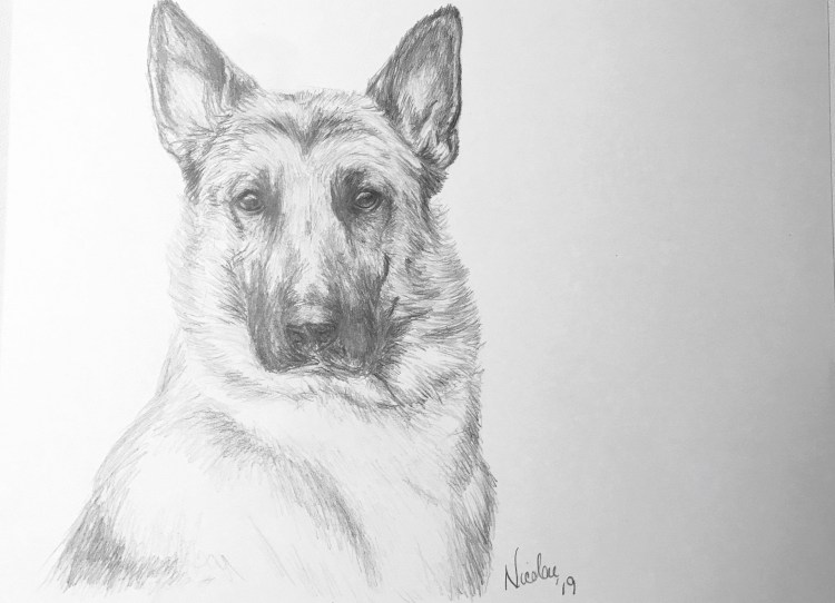 Рисунки карандашом Молли