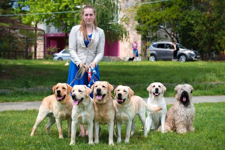 Заводчица собак