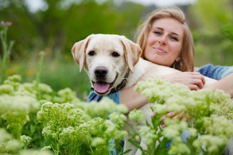 . Флосси (лабрадор Дрю Бэрримор)