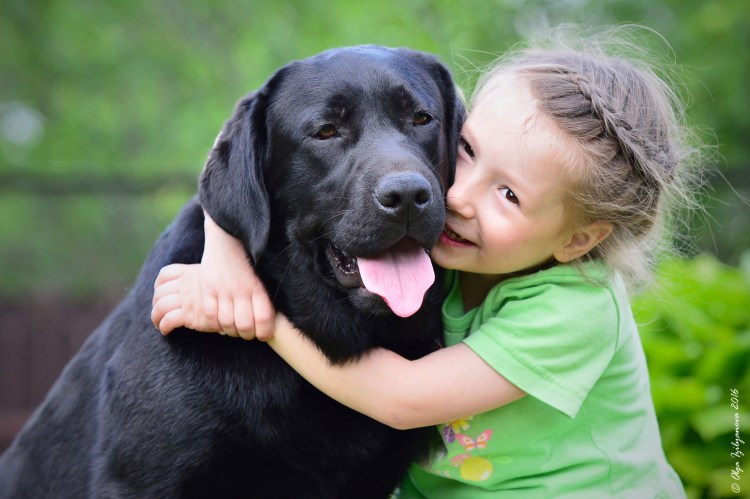 Гроган д. "Марли и я"
