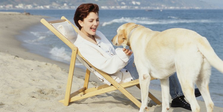 Девушка с белым лабрадором