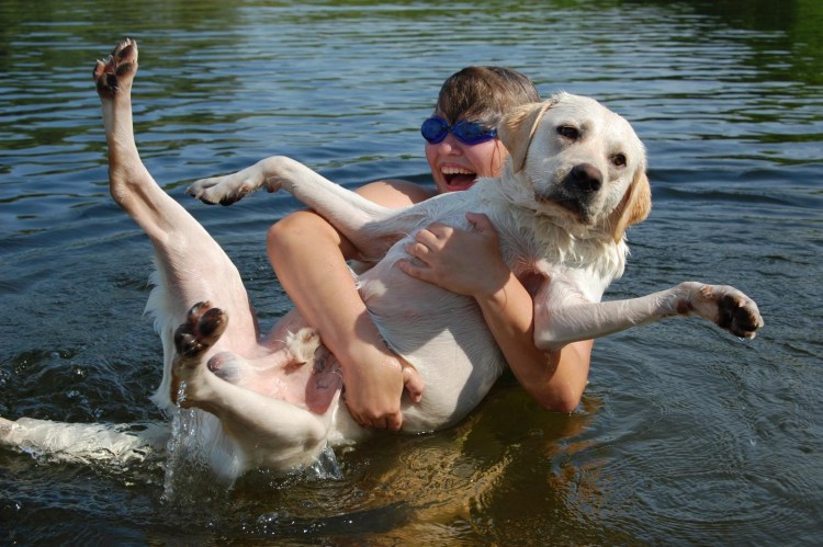 Счастливый пес и хозяин