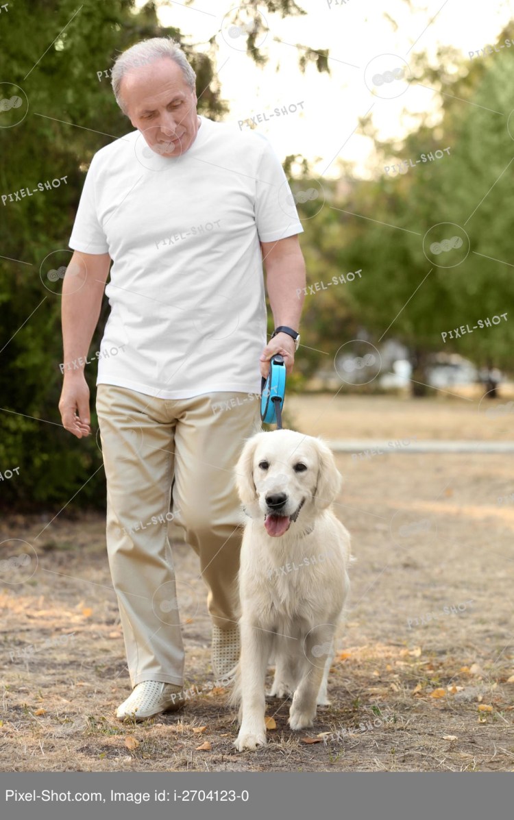 Собака с хозяином на траве