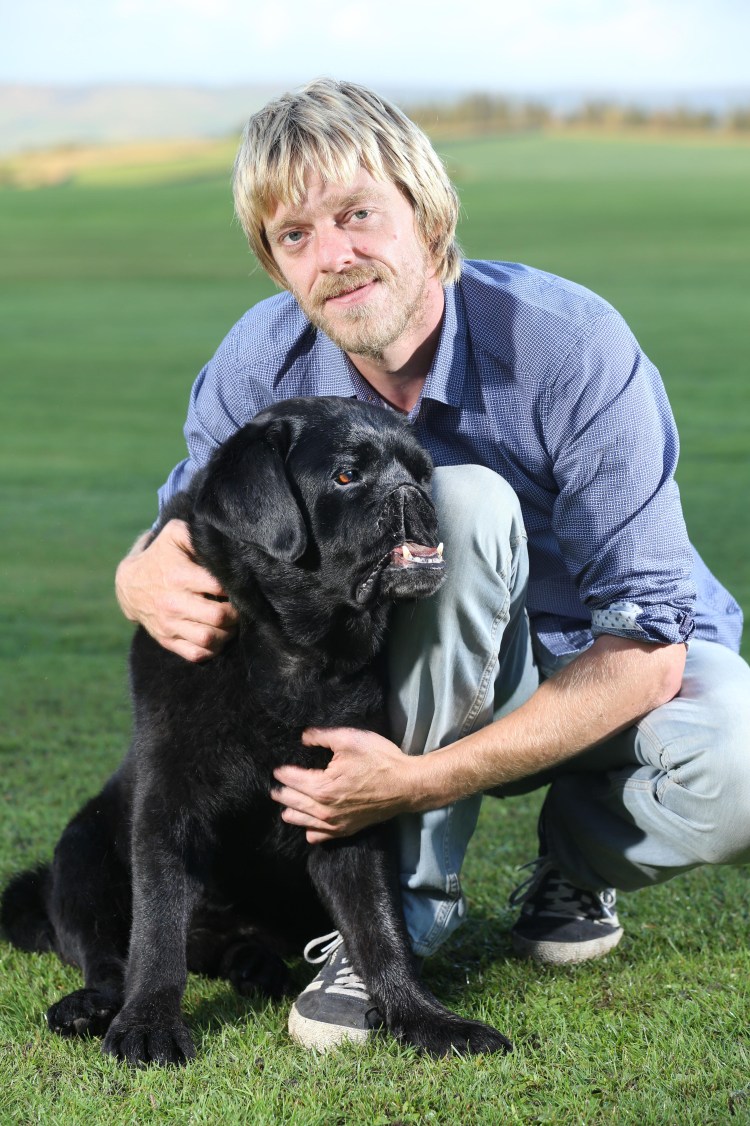 Лабрадор Рихтер