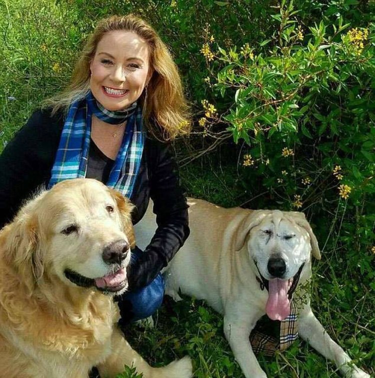 Золотистый ретривер с человеком