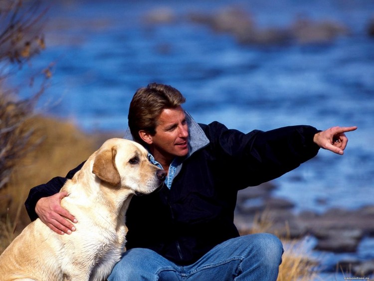 Ретривер с человеком