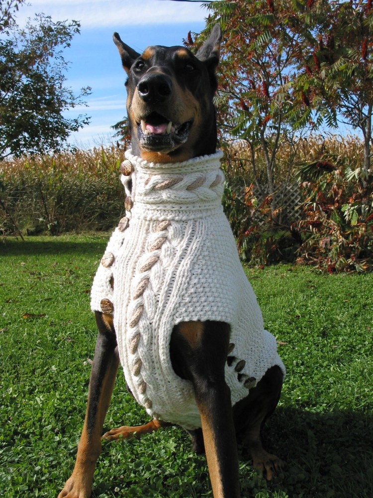 Вязаный свитер для собаки