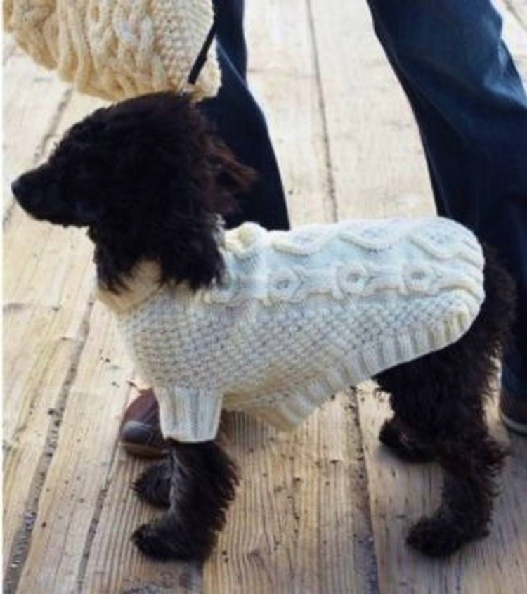 Кофточка для маленькой собачки