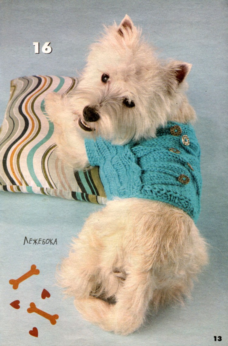 Жилет для собаки крючком