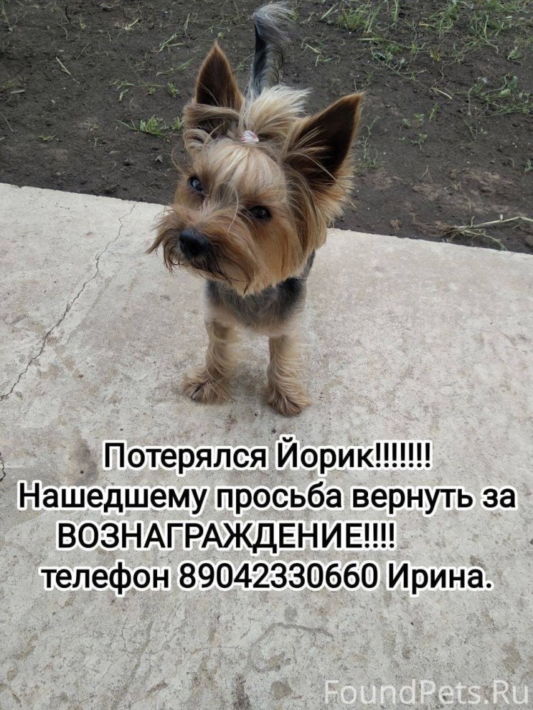 Василий рыжих