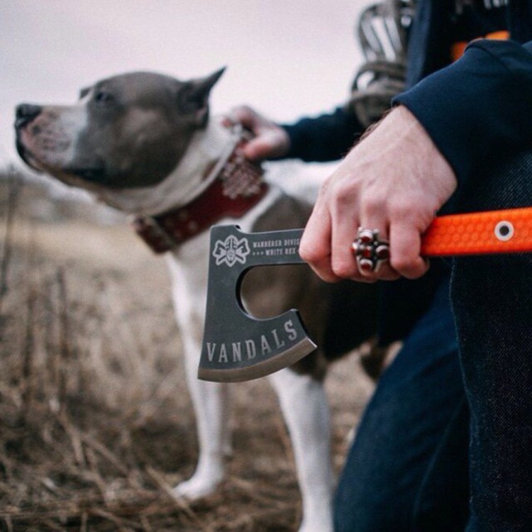 ОФФНИКИ С собакой