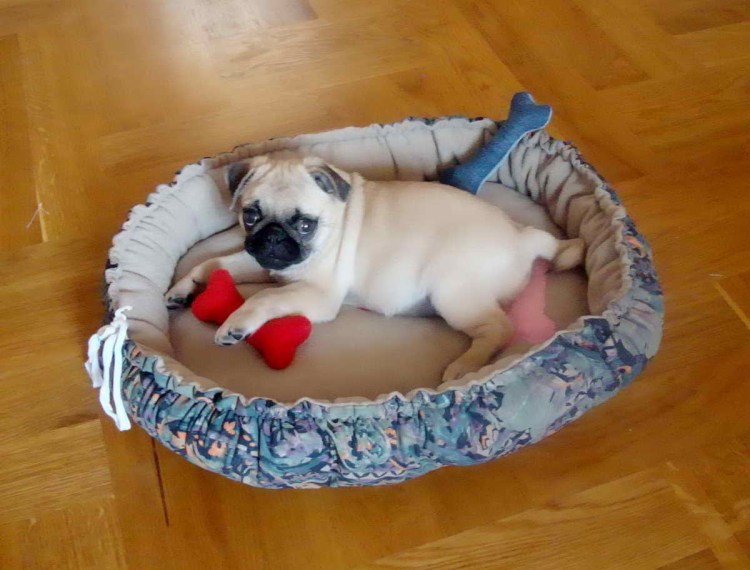 Лежанка для МОПСА