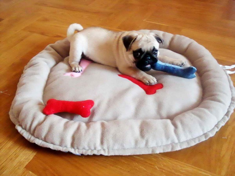 Лежанка для МОПСА