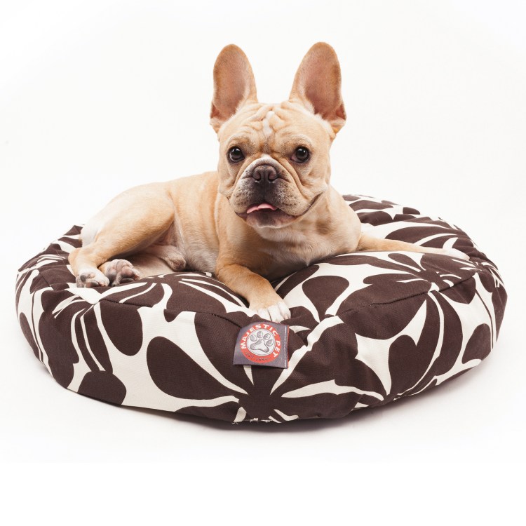 Лежанка для собаки чихуахуа мальчика